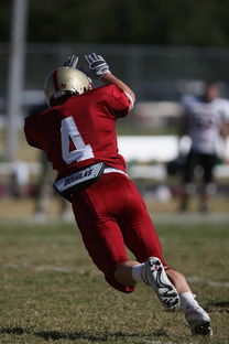 法甲球队防守战术调整后定位球防守成功率提升分析，法国防守